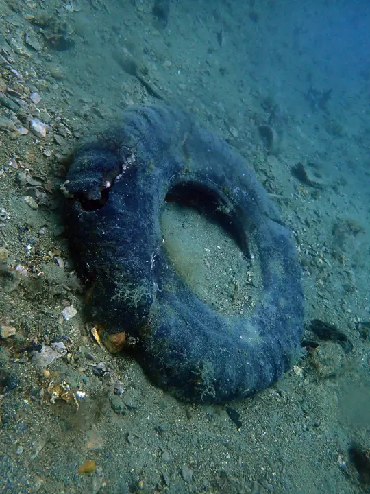 Ronioci objavili što su sve zatekli pod morem na Marinskoj: Gume, gume, gume... i jedan krov!