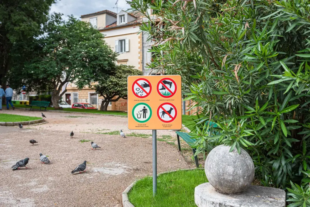 Zeleni grad u đardinu postavio edukativne table: Stabla na rivi i Poljani tretirali protiv nametnika 