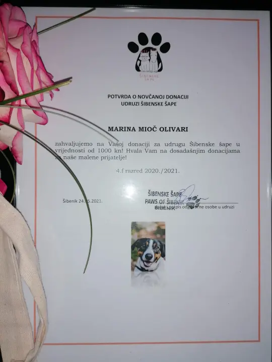 Šibenski gimnazijalci iz 4.f umjesto poklona razrednici donirali tisuću kuna Šibenskim šapama!