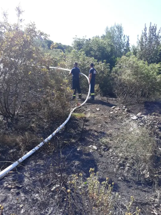Spaljivanje travi u Brodarici otelo se kontroli: Vatra ipak nije stigla do kuća i borove šume