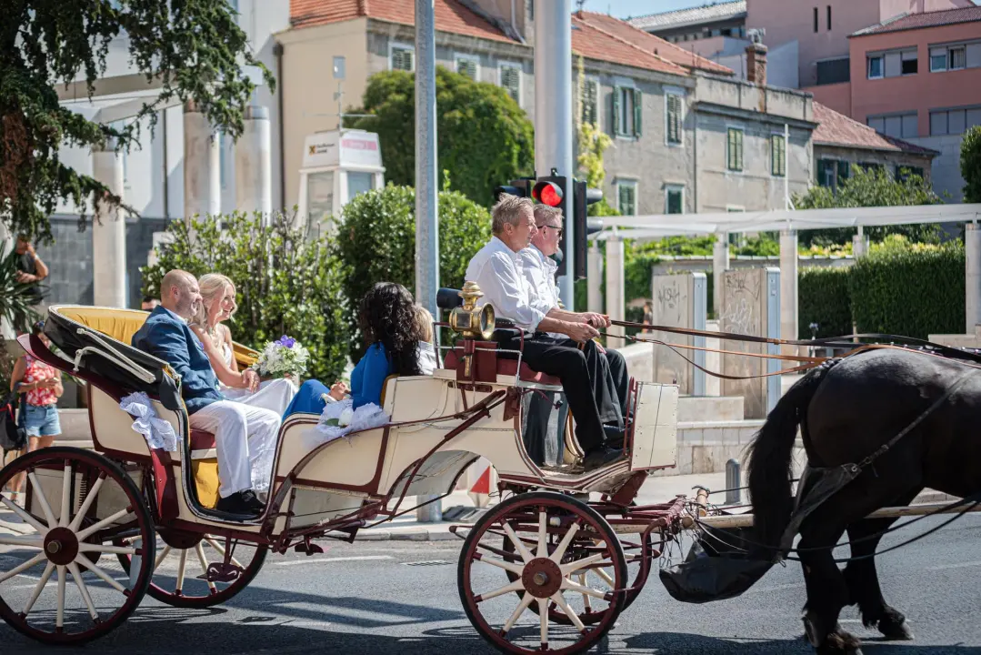 Vjenčanje na belgijski način: Dvije frizijske kobile kaskale centrom grada i rivom  