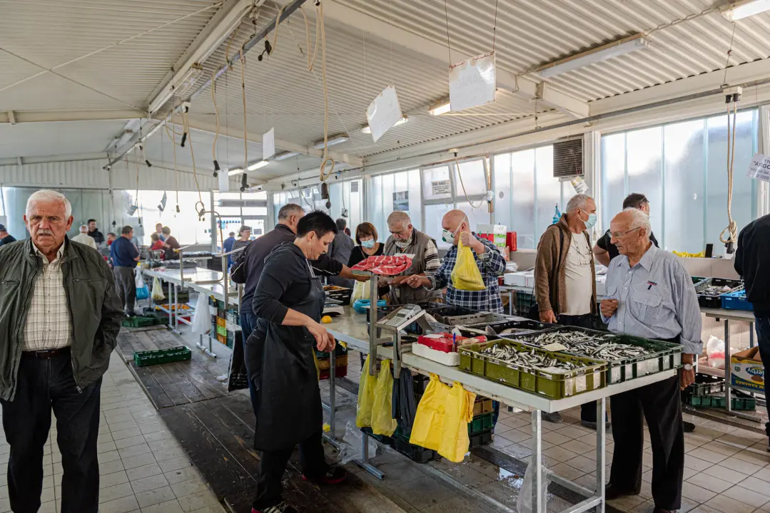 Od ogromnih kokota i mola sa šibenske peškarije dalo bi se skuhati juhu za omanji bataljun  