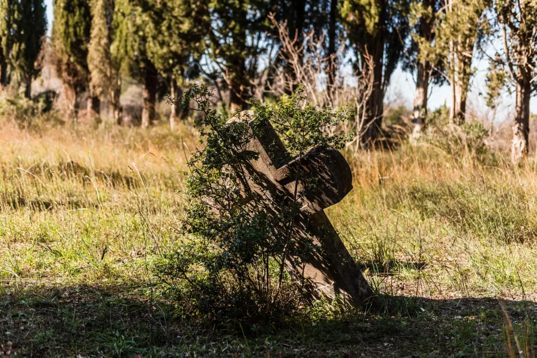 'To groblje je poput Pandorine kutije, bila je i njemačka krim policija': Na Raskrižju su posljednje počivalište našli i partizani i fašisti