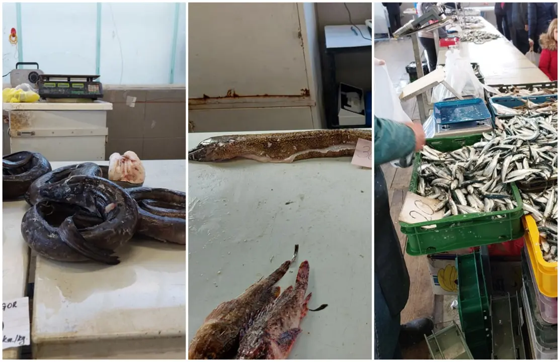 Na peškariji skromna ponuda zbog bure: Srdele, brancini i jedna murina