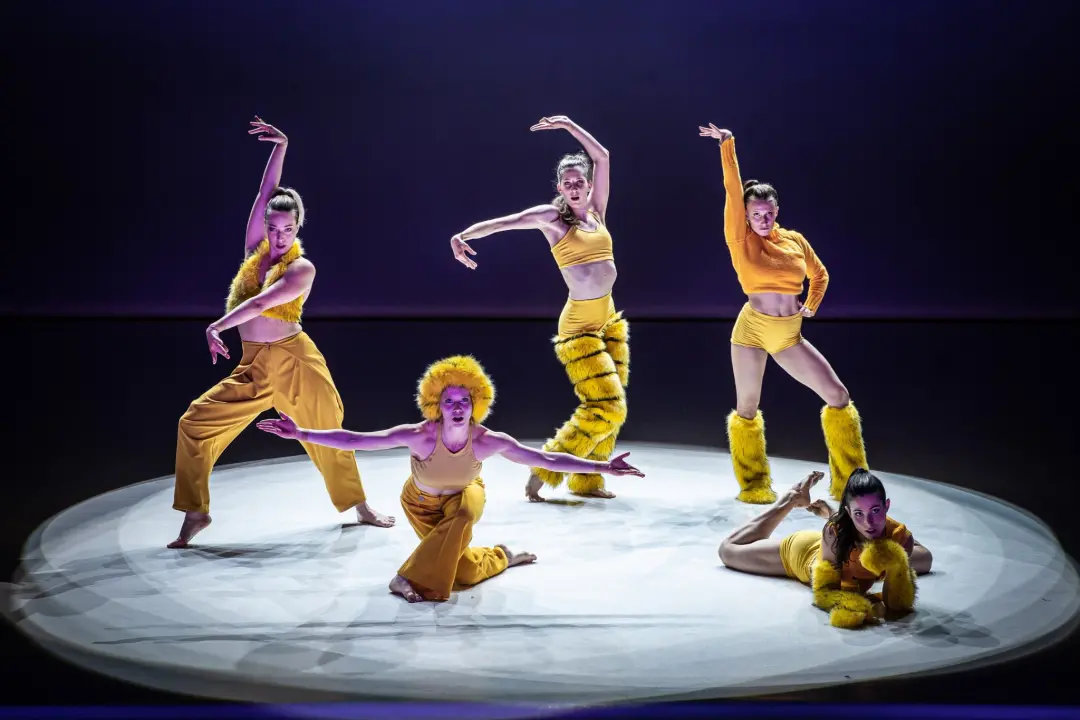 Cirkus na otvorenju 11. Šibenik Dance Festivala! 