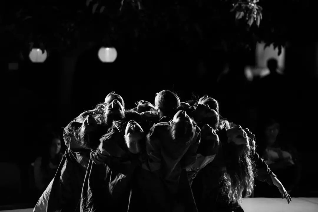 11. Šibenik Dance Festival završio pogledom u budućnost hrvatske plesne umjetnosti 
