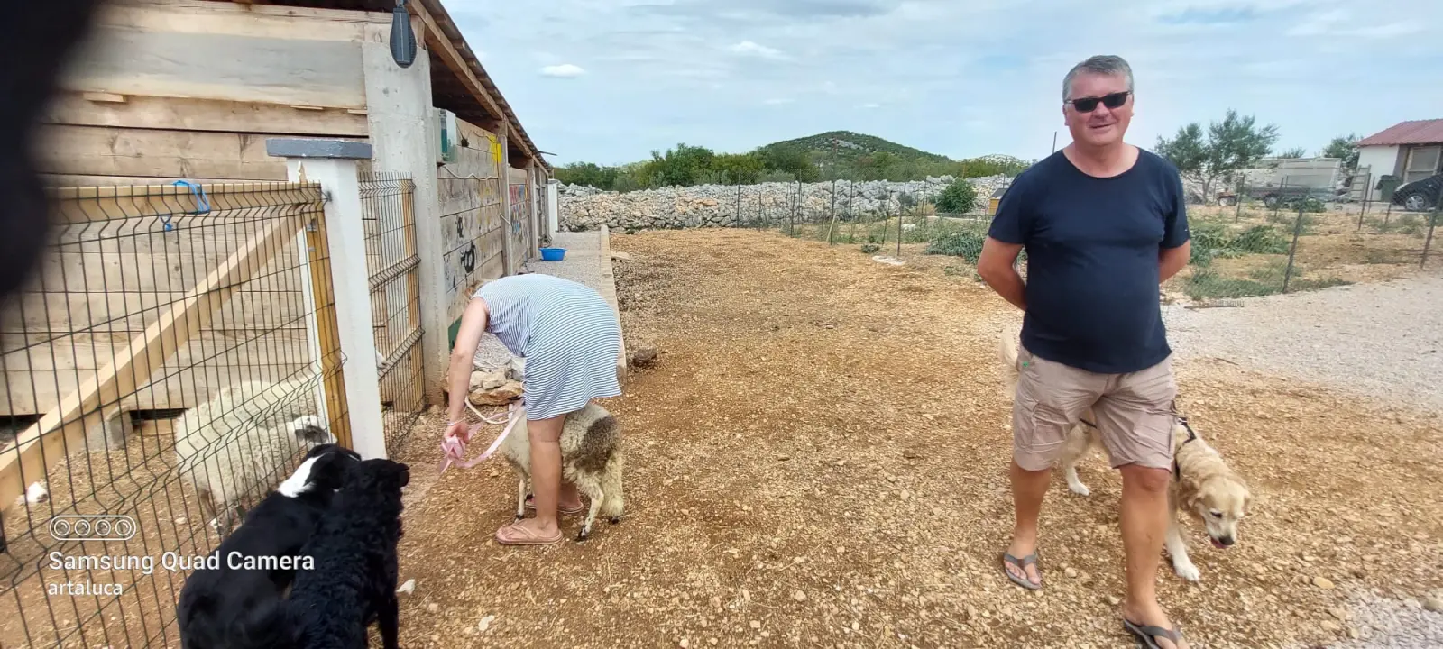 U Šibeniku spašen jedan janjeći život: 'To je poklon za bivšu janjocidnu osobu koja je danas janjofil'