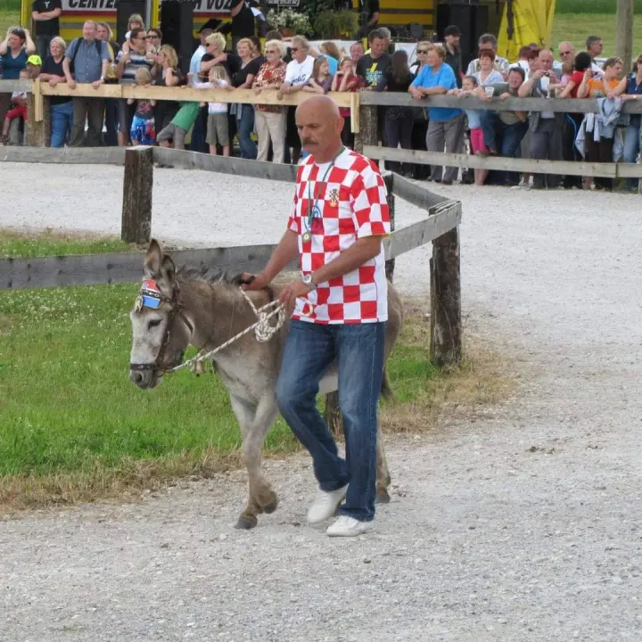 Paško je ljubav prema magarcima pretvorio u obiteljski posao: 'Kćer će mi biti dostojna zamjena na utrkama'