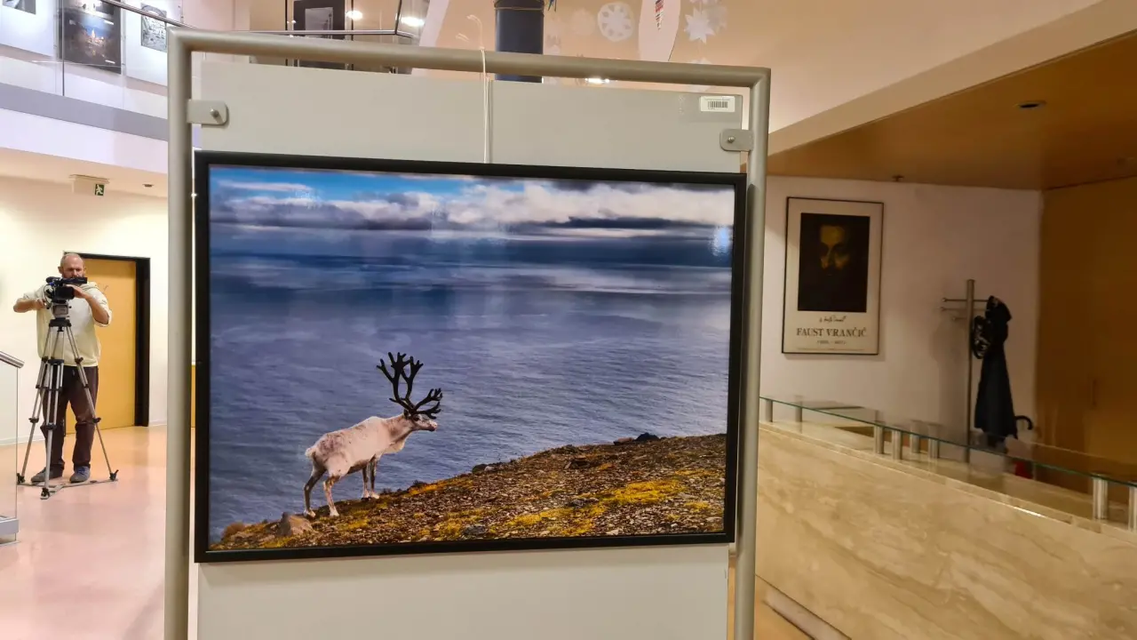 U Šibeniku započeli Dani norveške kulture