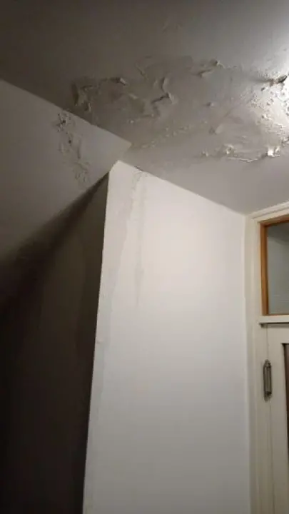 Stanari jedne zgrade u Šibeniku godinama žive u neljudskim uvjetima: Prokišnjava lift, gljivice na zidovima te krpe i kante posvuda 