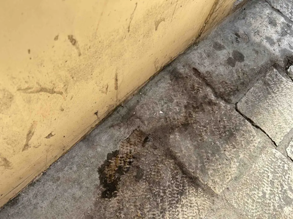 Šibenik njeguje tradiciju, barem onu srednjovjekovnu prljavih ulica!