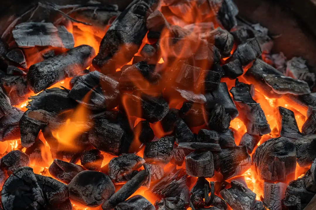 Nabavite drveni ugljen za savršen roštilj po odličnim cijenama! 
