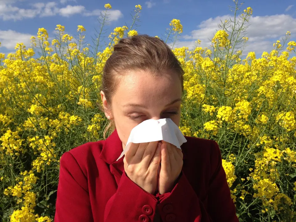Muče vas simptomi alergije? Pravo je vrijeme da napravite alergijski test u Poliklinici Analiza! 