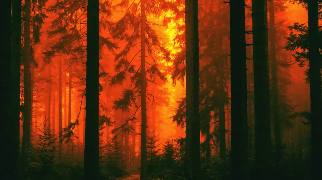 Zahvaljujući projektu FIRESPILL, vatrogasci su spremni za novu sezonu uz suvremenu opremu!