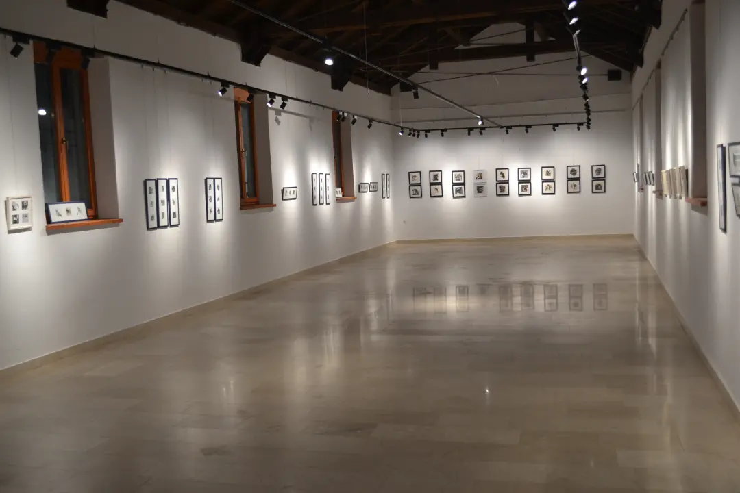 U galeriji Kninskog muzeja otvorena izložba crteža naziva 'Misli' akademske grafičarke Katarine Galić 