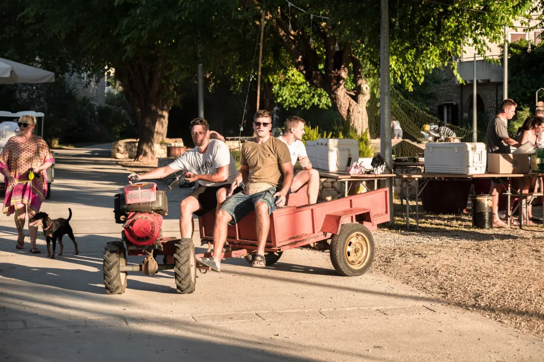 Na Zlarinu održana tradicionalna Srdelada