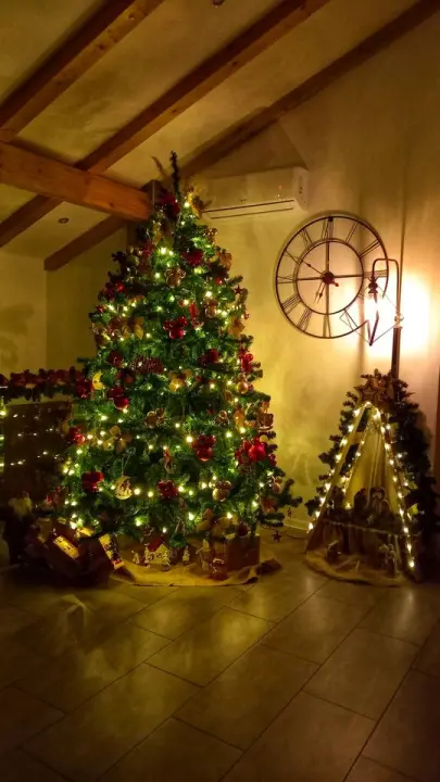 Provjerite tko su pobjednici izbora za naj jelku!