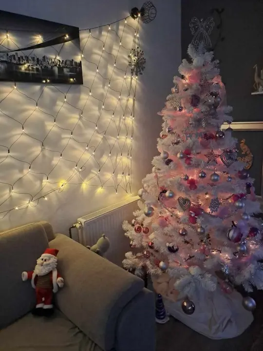 Provjerite tko su pobjednici izbora za naj jelku!
