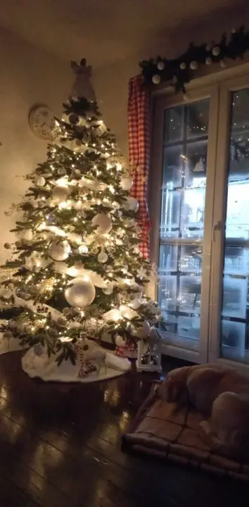 Provjerite tko su pobjednici izbora za naj jelku!