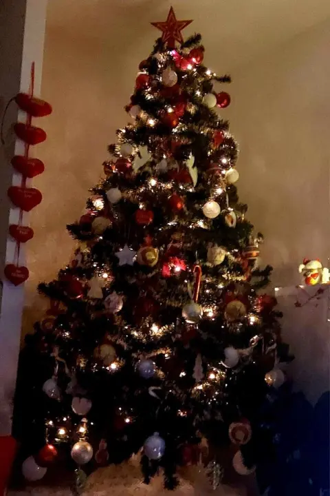 Provjerite tko su pobjednici izbora za naj jelku!