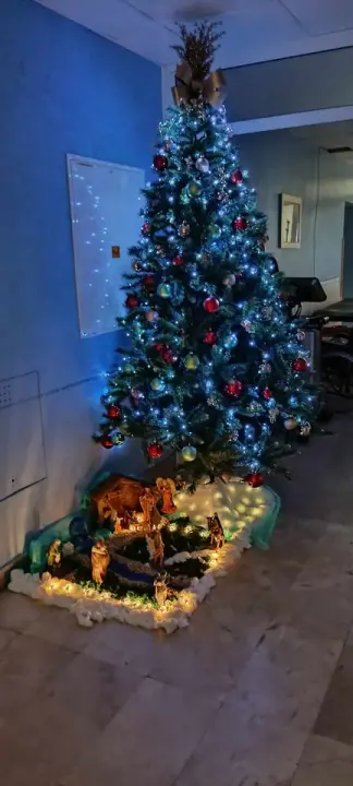 Provjerite tko su pobjednici izbora za naj jelku!