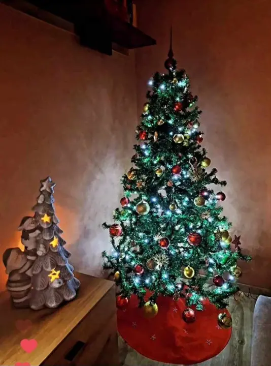 Provjerite tko su pobjednici izbora za naj jelku!