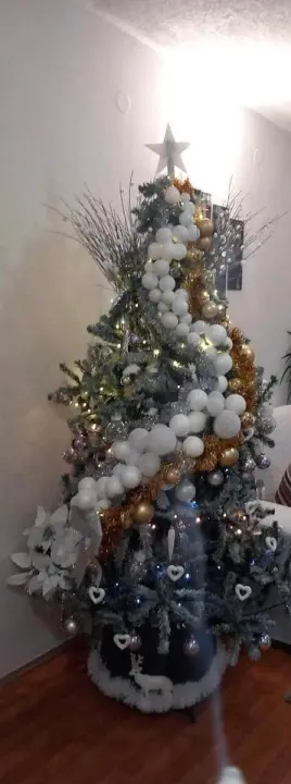 Provjerite tko su pobjednici izbora za naj jelku!