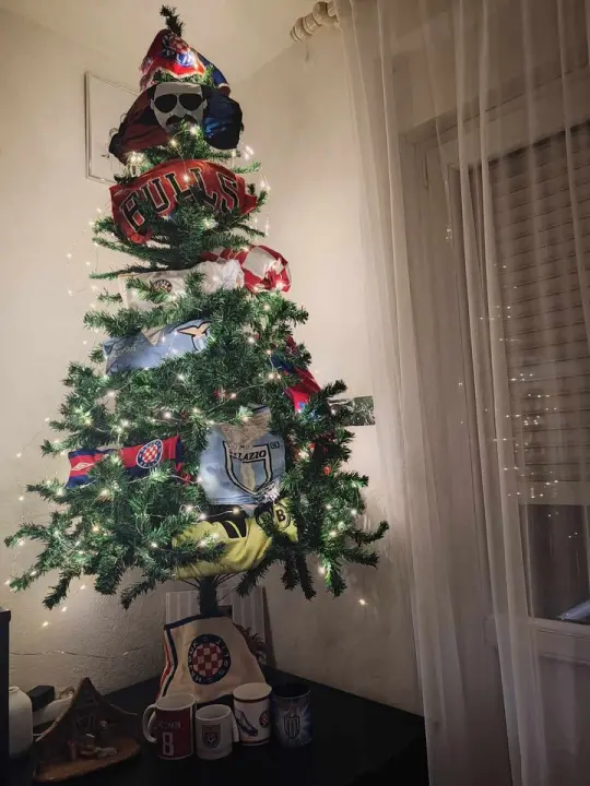 Provjerite tko su pobjednici izbora za naj jelku!