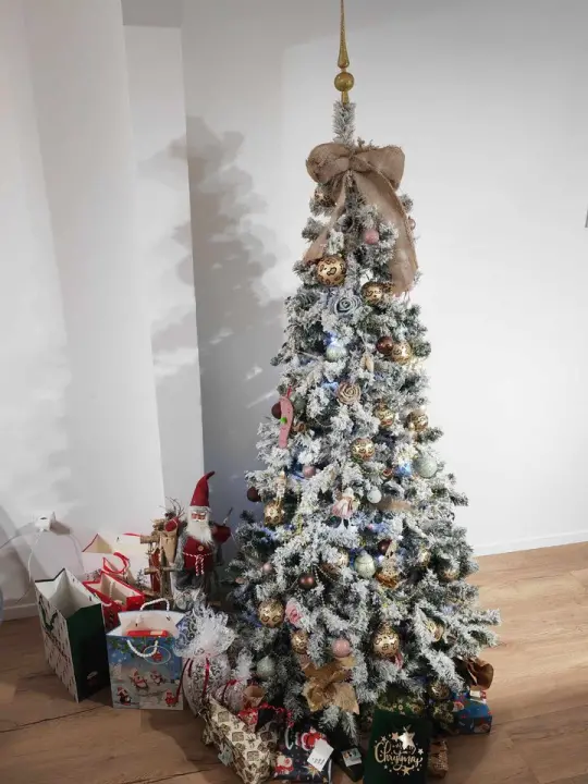 Provjerite tko su pobjednici izbora za naj jelku!