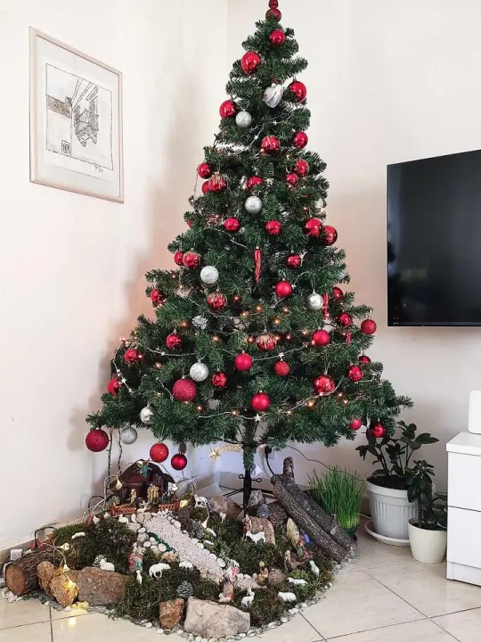 Provjerite tko su pobjednici izbora za naj jelku!