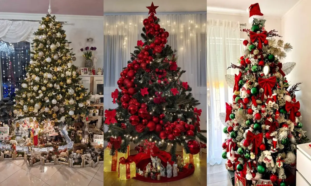 Provjerite tko su pobjednici izbora za naj jelku!