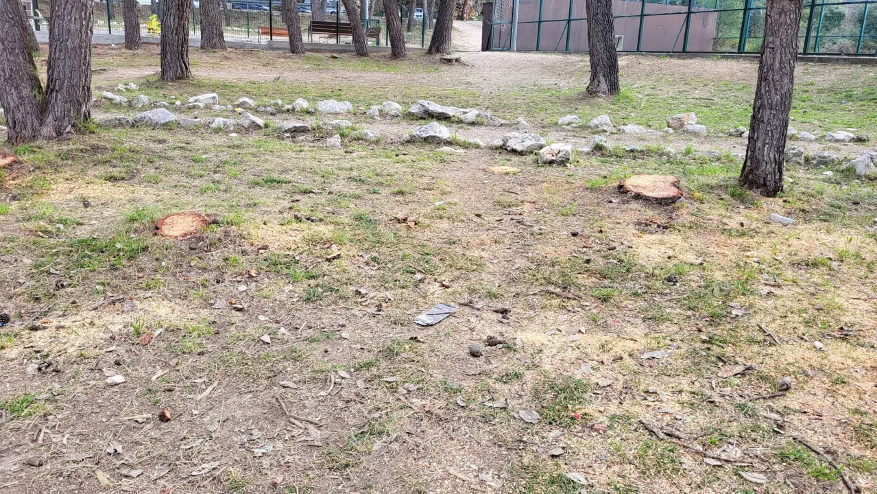 'Masakr' u parku Rasadnik na Vidicima: Sječe li Zeleni grad stabla mimo studije koju je naručio Grad?