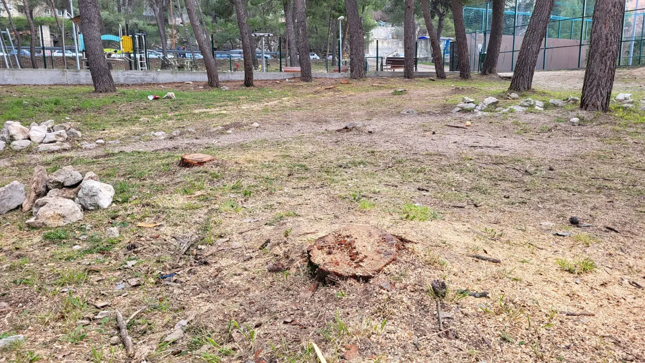 'Masakr' u parku Rasadnik na Vidicima: Sječe li Zeleni grad stabla mimo studije koju je naručio Grad?