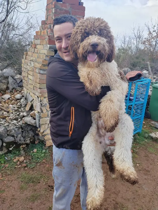 Marko Aleksić, interventni policajac i trener pasa: 'Odgoj psa treba shvatiti ozbiljno, a veću ljubav u životu nećete dobiti'