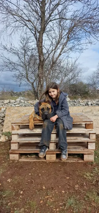 Marko Aleksić, interventni policajac i trener pasa: 'Odgoj psa treba shvatiti ozbiljno, a veću ljubav u životu nećete dobiti'