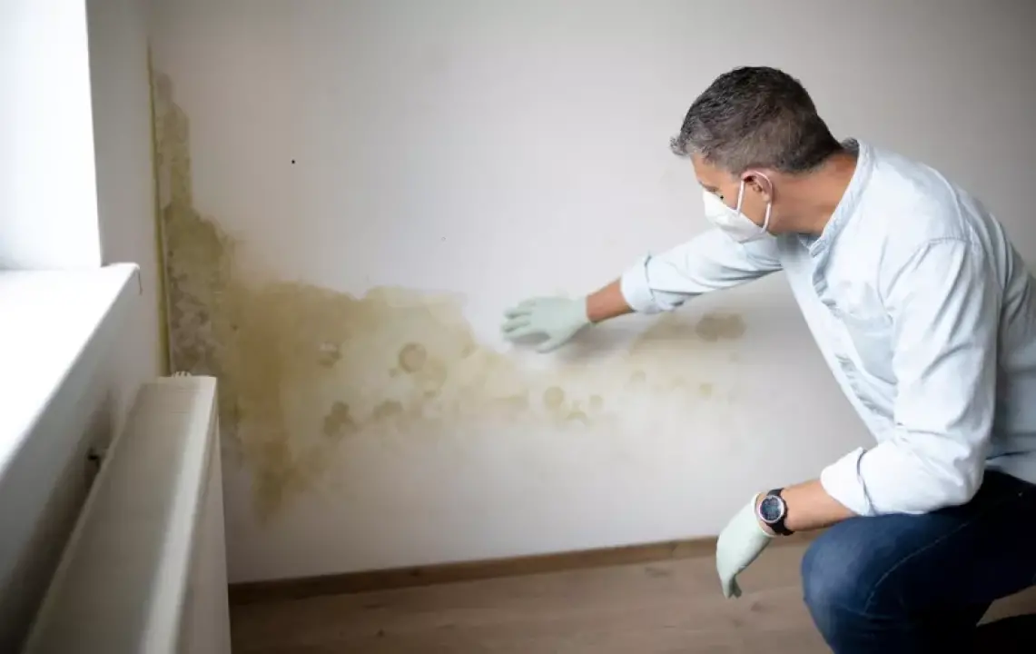 Donosimo odgovore na pet najčešćih pitanja vezanih uz pojavu vlage ili plijesni u domovima! 