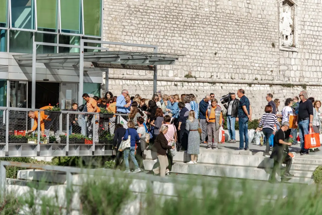 Gužva na Poljani: Šibenčani cvijeće najviše vole kad je besplatno