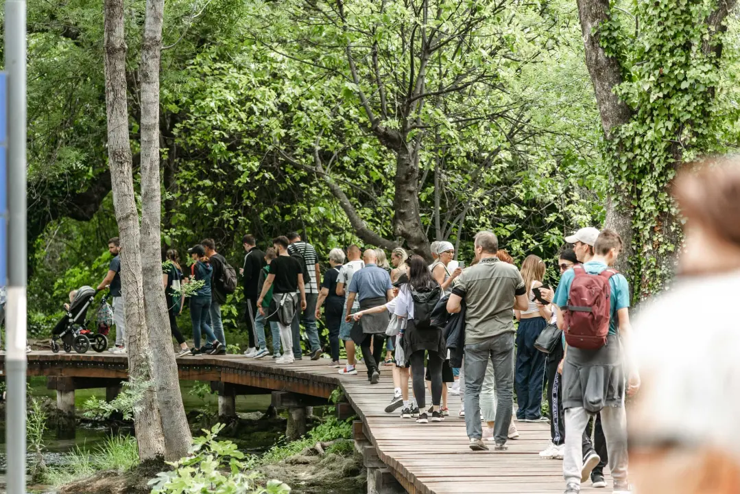Podijeljeno tisuću sadnica lavande i lovora: 'Želimo očuvati naše ekosustave i poticati bioraznolikost' 