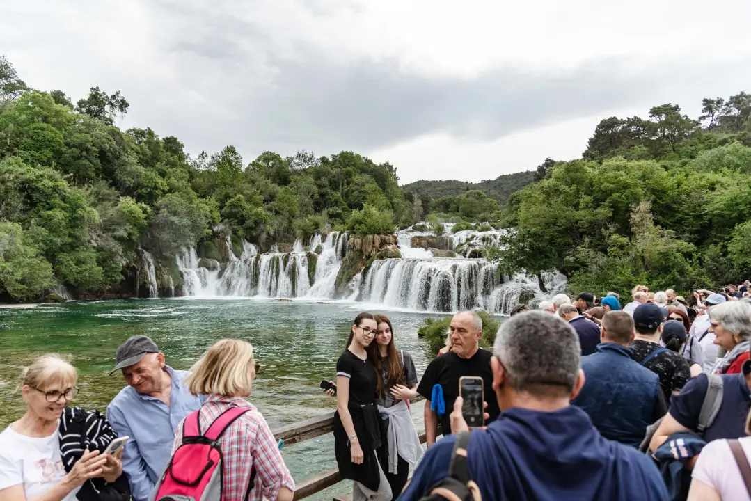 Podijeljeno tisuću sadnica lavande i lovora: 'Želimo očuvati naše ekosustave i poticati bioraznolikost' 