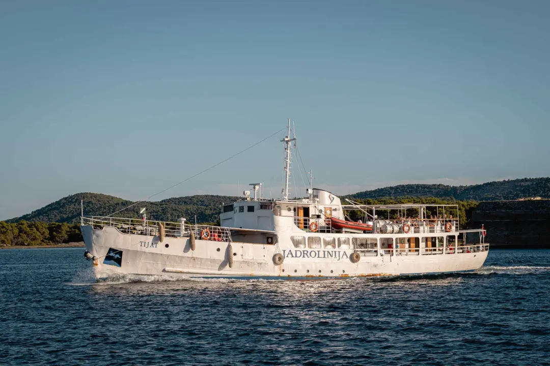 Tijat sutra ide na dijagnostiku: Pregledati će ga u Mandalini