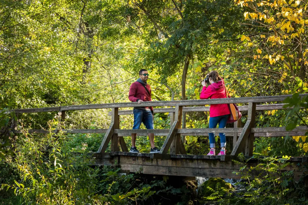 Razglednice s Krke: fotografija kao najljepši suvenir i slika koja putuje svijetom