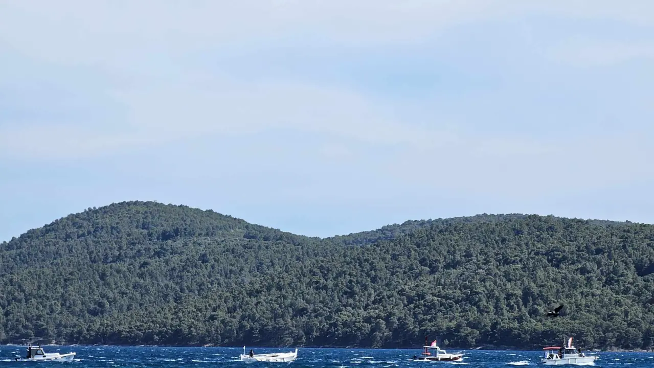 Mještani Prvića prosvjedovali jer su nezadovoljni brodovima koji ih povezuju s kopnom