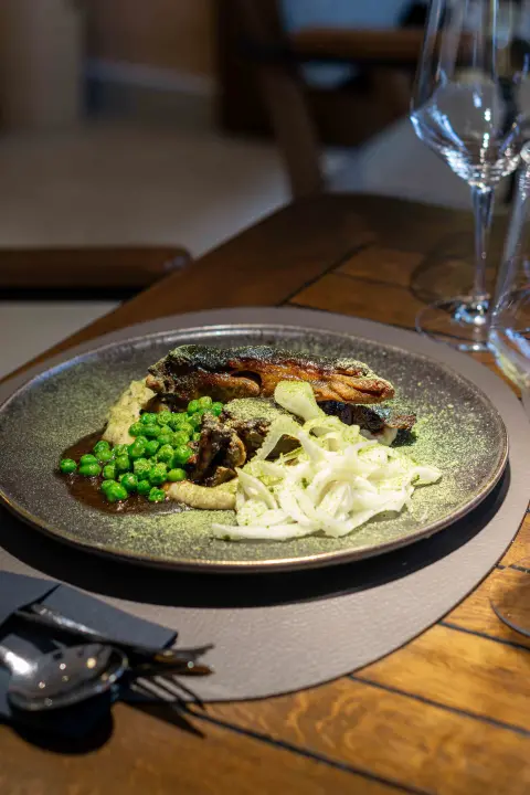 Provedite ugodne večeri na terasi restorana Mlin Montanari uz svirke uživo