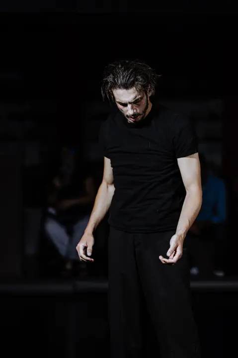 Intimne izvedbe i iskrene emocije obilježile su drugu večer Šibenik Dance Festivala 