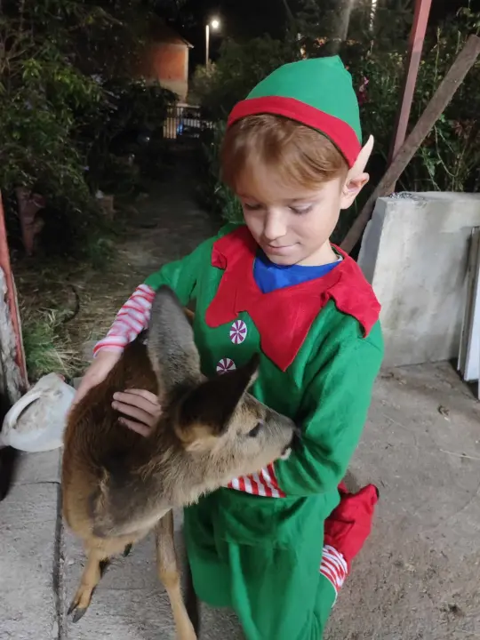Sve je krenulo s nekoliko ovaca, a danas obitelj Zelenika iz Knina ima pravo životinjsko carstvo