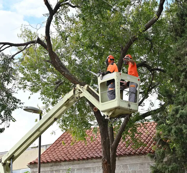 FOTO Đir po gradu, četvrtak 10. listopada