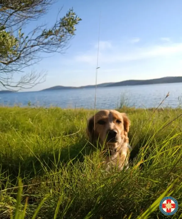 Ivan i Jenny iz HGSS-a Šibenik novi su K9 potražni tim