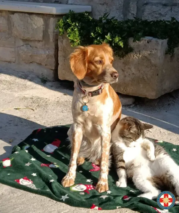 Ivan i Jenny iz HGSS-a Šibenik novi su K9 potražni tim