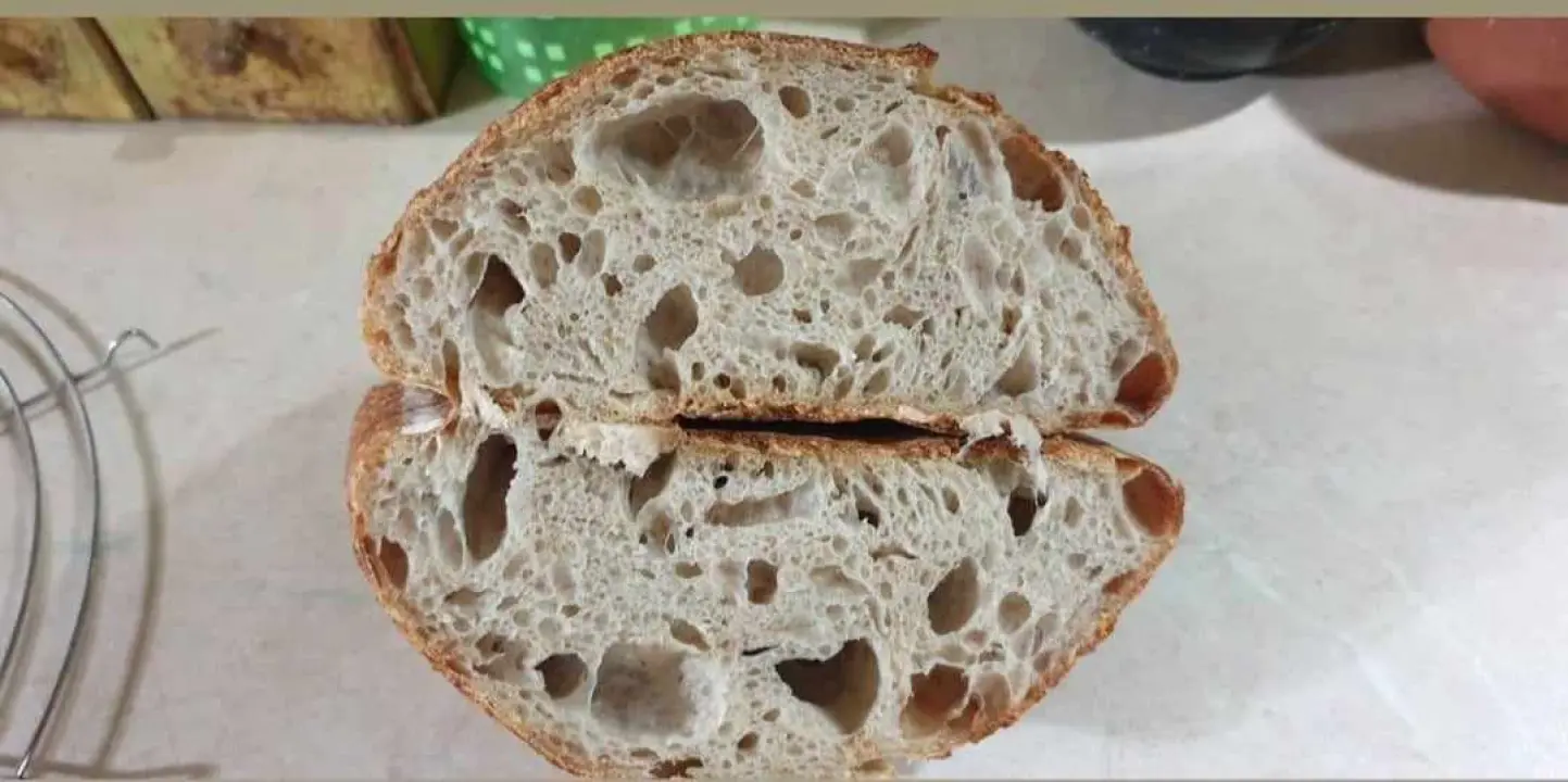 Recept za sourdough kruh Sanje Antunac od durum pšenice