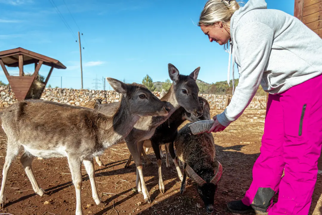 Jelena, Nina i Srećko oduševe svakoga tko posjeti Happy Horse u Dubravi